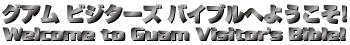 �O�A���r�W�^�[�Y�o�C�u���ւ悤����